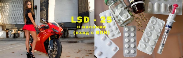 крисы Бородино