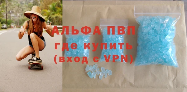крисы Бородино