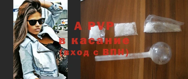 крисы Бородино
