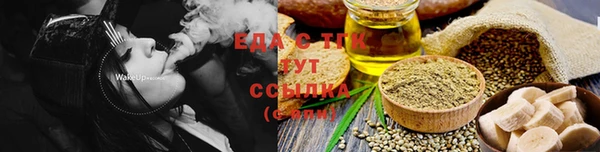 крисы Бородино