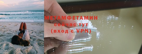 крисы Бородино