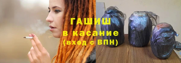 крисы Бородино