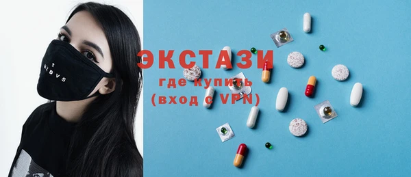 крисы Бородино