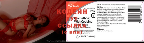 крисы Бородино