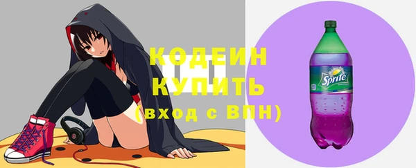 крисы Бородино