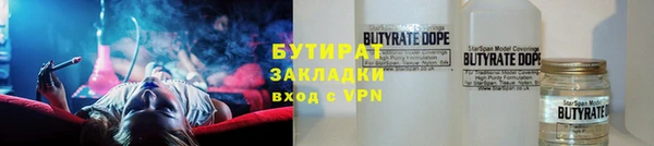 крисы Бородино