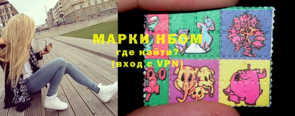 крисы Бородино