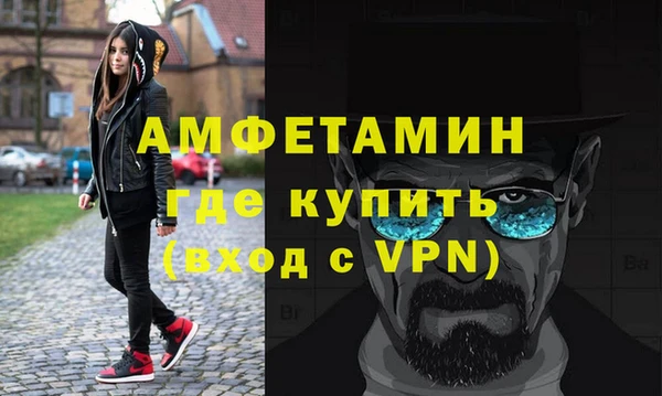 крисы Бородино