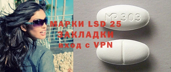 крисы Бородино