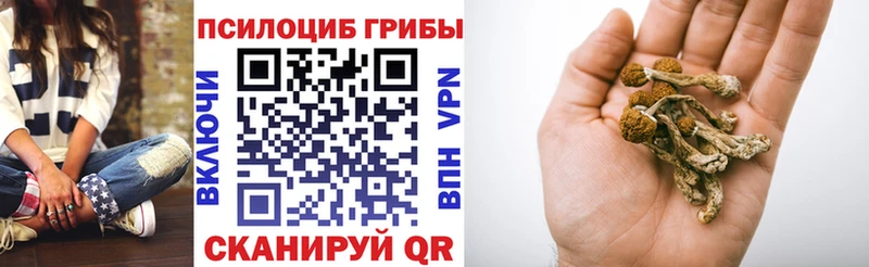 Галлюциногенные грибы мухоморы  что такое   гидра рабочий сайт  Лукоянов 
